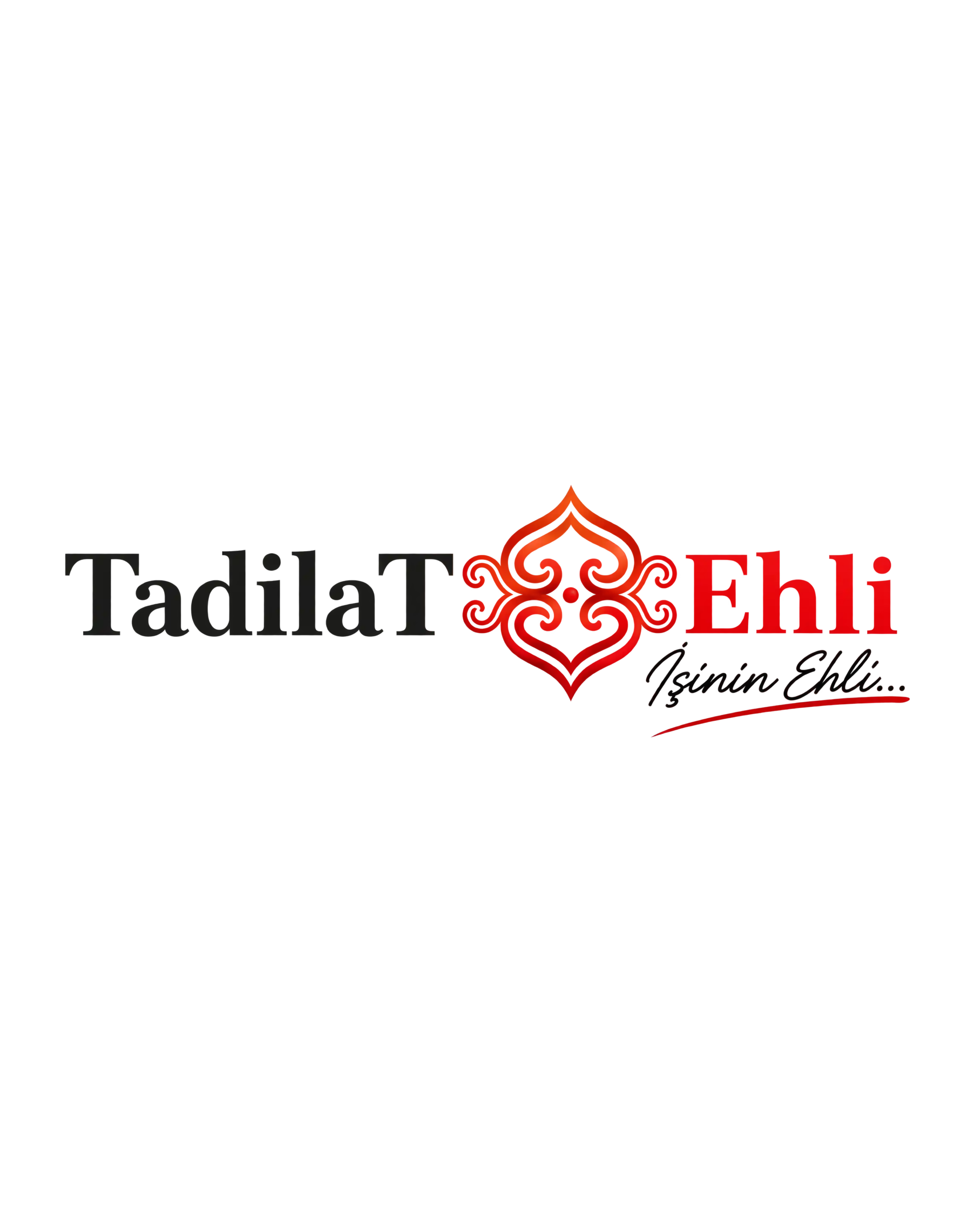 Tadilat Ehli Logo