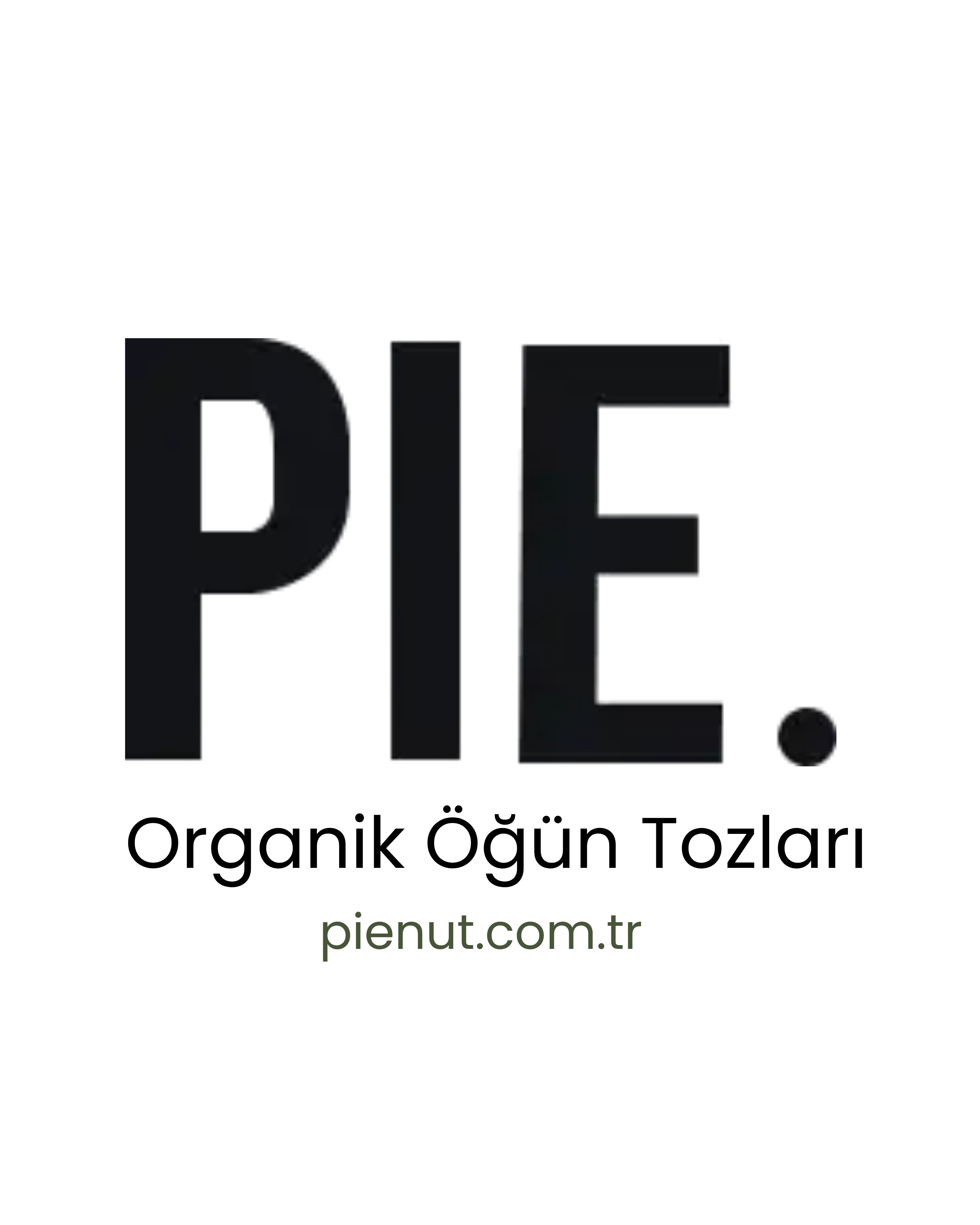 PIE Logo
